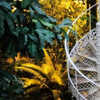 Découvrez les secrets cachés du jardin des plantes
